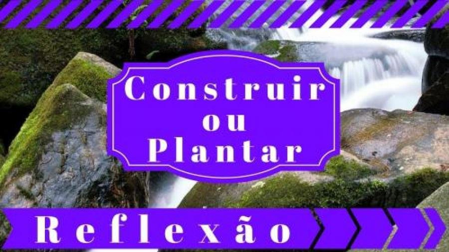 Construir ou Plantar